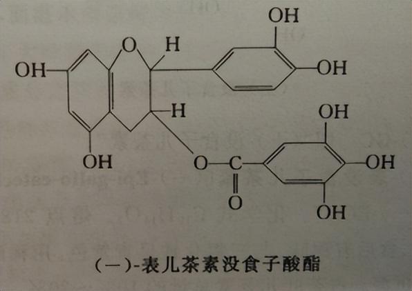 茶科学 | 茶叶所含化学物质元素 —— 茶多酚 多元酚化合物的混合物 - 知乎