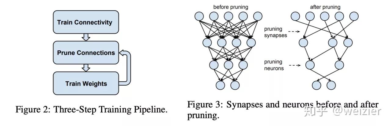 模型剪枝 知乎