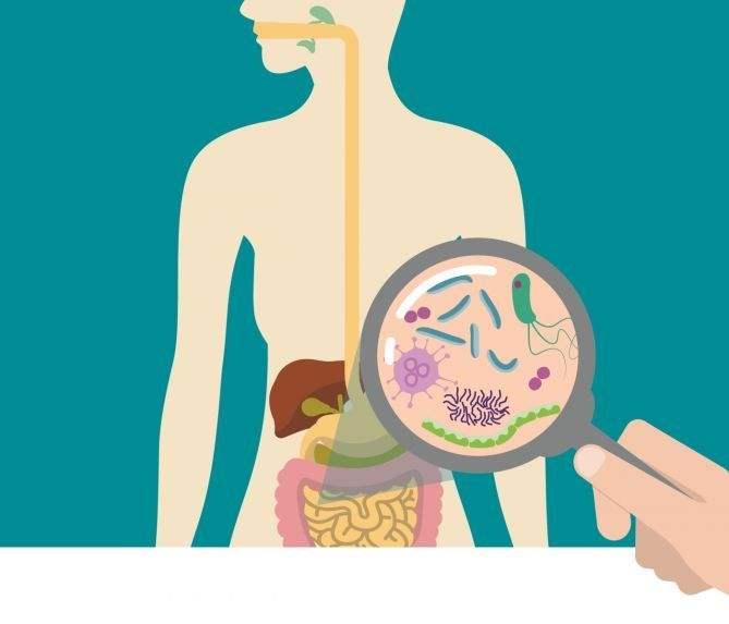 經常腹瀉成人益生菌調理腸胃哪個牌子好