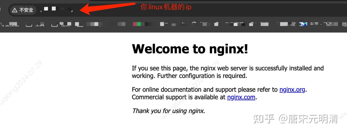 Linux nginx 