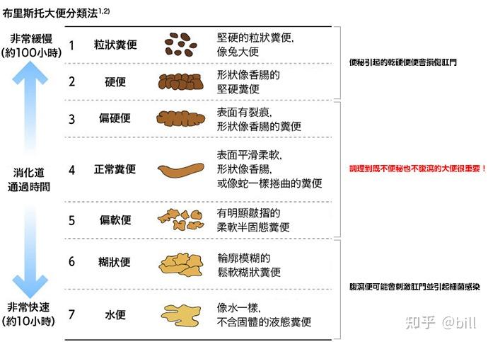 大便形态的分类和解读 - 知乎