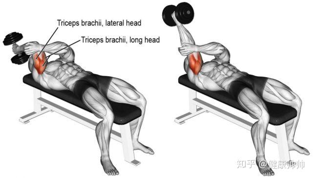 肱三头肌锻炼动作图片