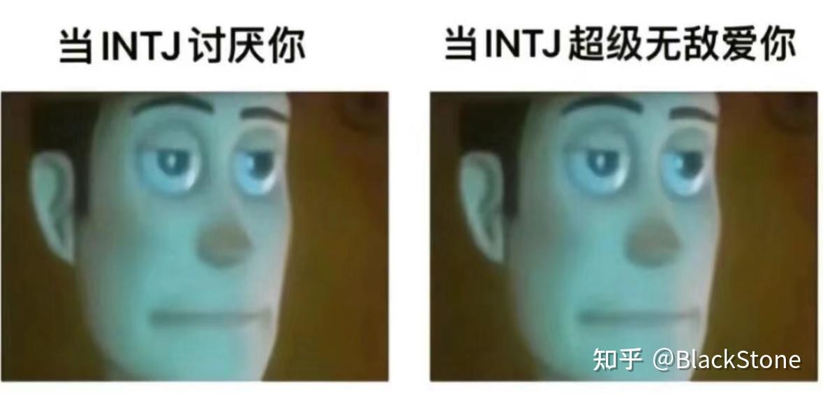 Intj梗图（无水印） 知乎 