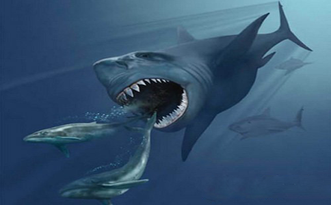 狂暴巨齿鲨图片