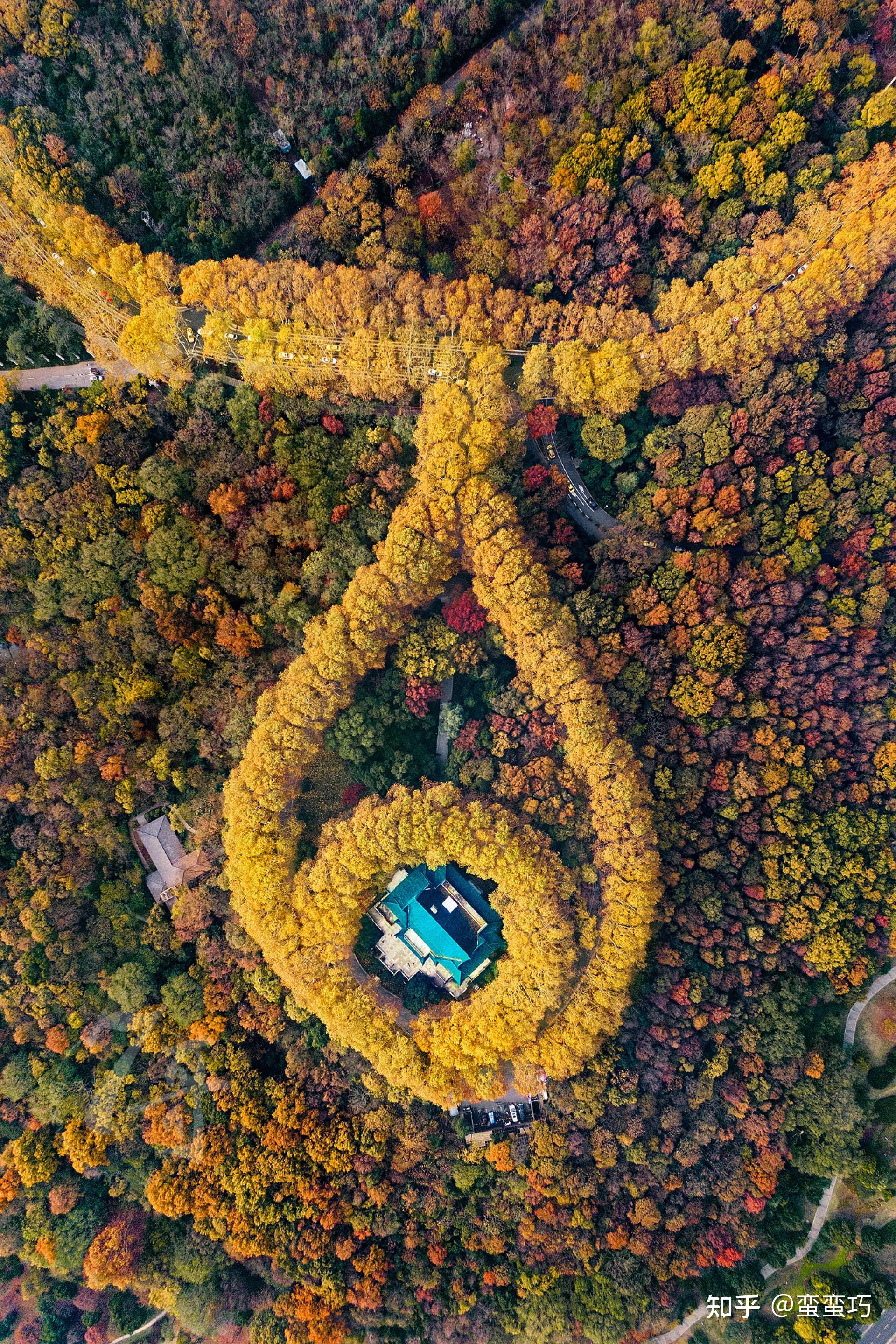 而美龄宫,作为两人的爱巢,更是被梧桐树层层包围,更让人羡慕的是,他