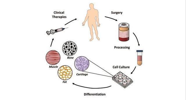 细胞传代的步骤 - 知乎