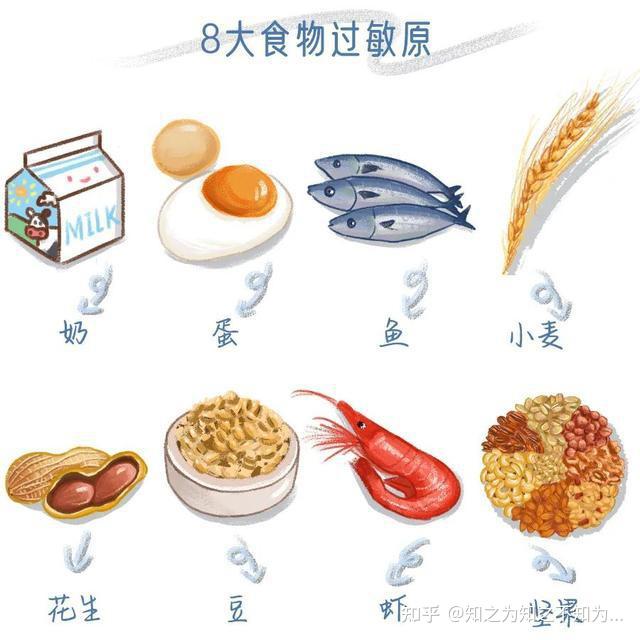 常见的食物过敏原有什么
