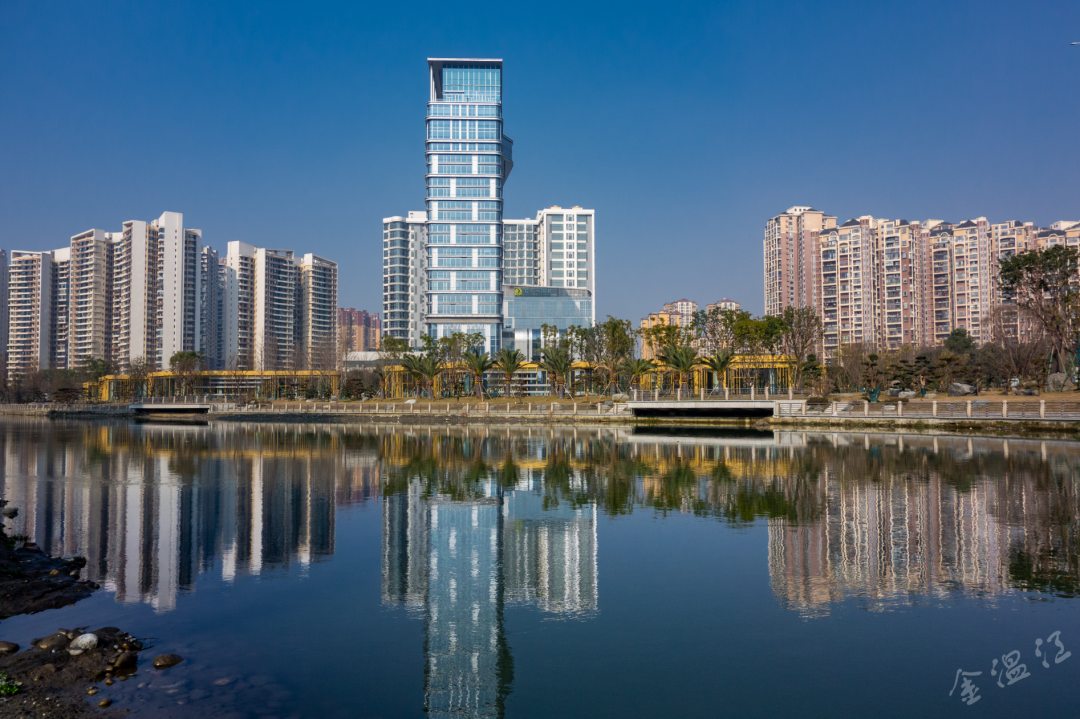 区政协十四届五次会议开幕