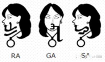 “桦加沙”这个名字源自“大家乐话”？ - 知乎