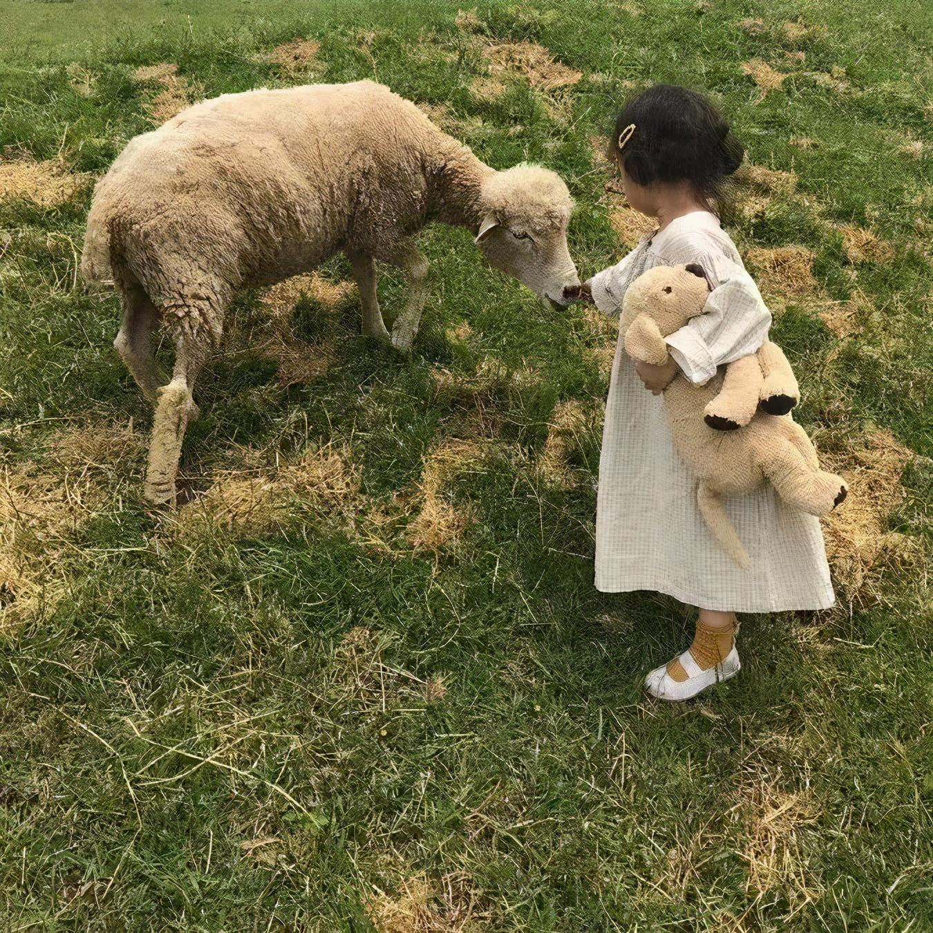 女生抱小羊的头像图片