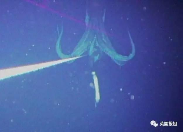 恐海症是怎样一种体验？ - 知乎