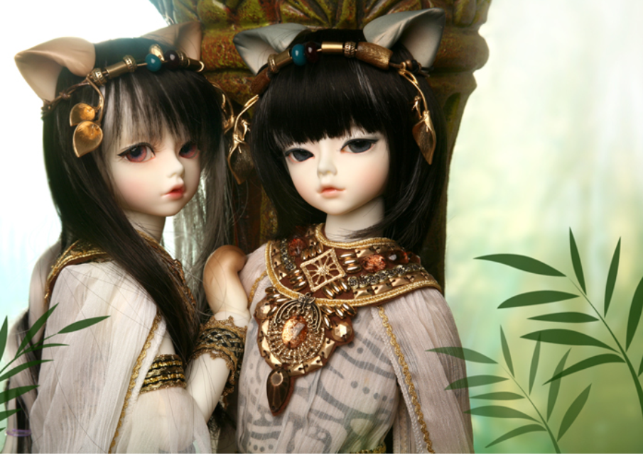 BJD（球体关节人形）不只是贵而已- 知乎