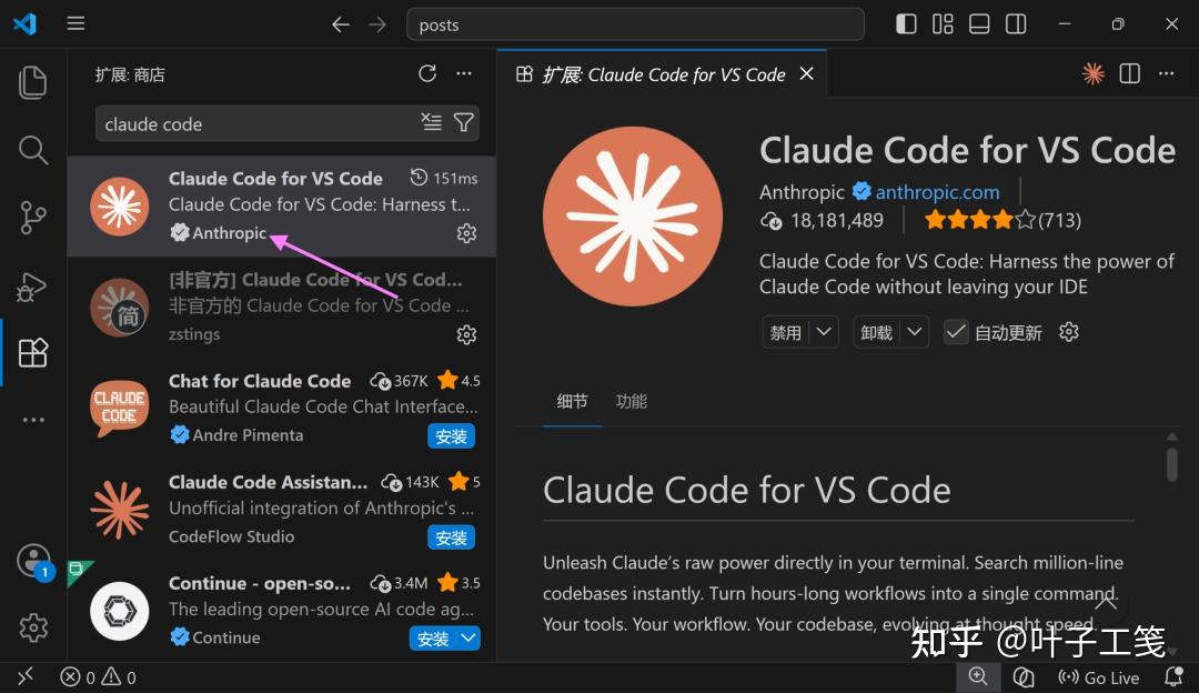 截图：Claude Code for VS Code 插件