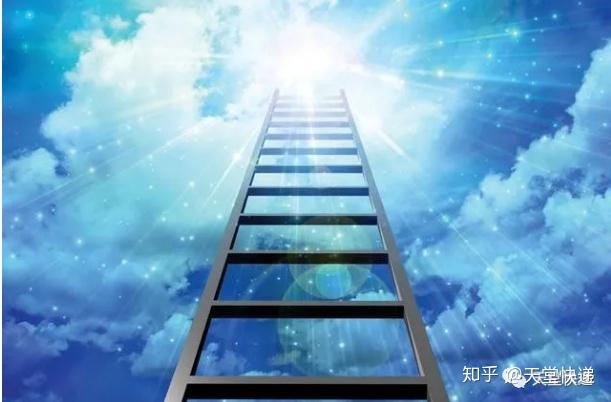 生命的尽头,是哪里?