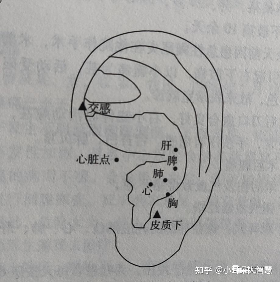 益康耳穴:胸闷气短该如何治疗? 知乎