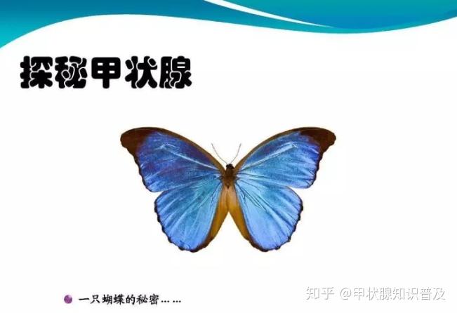甲状腺疾病患者新选择:微波消融术治疗甲亢!了解一下