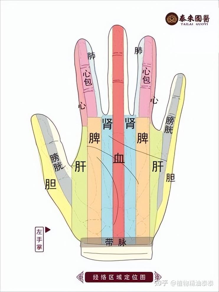 终于找到了，手诊基础知识大全，速来！ - 知乎