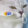 猫的哮喘。如何区别哮喘和吐毛球？ - 知乎
