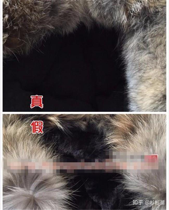 canadagoose加拿大鹅羽绒服真假如何鉴别