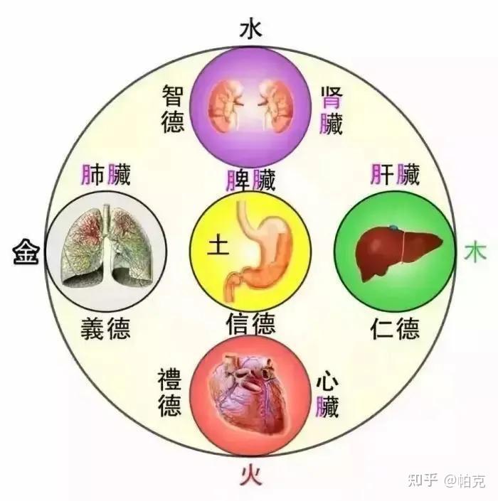 喝阴阳水有什么好处,阴阳水的功效与作用
