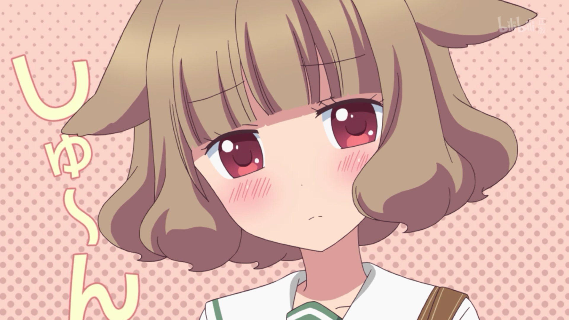 身为一名b站up主是怎么样的一名体验