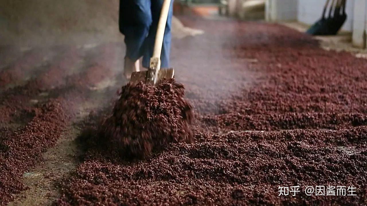 又到端午节那么酱酒为什么是端午制曲重阳下沙