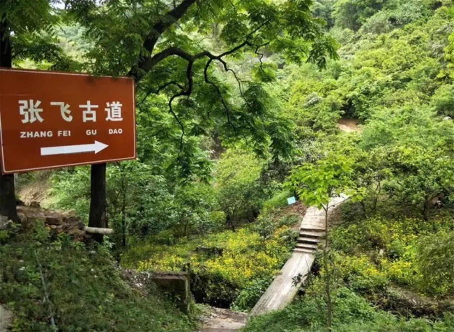重庆徒步攻略：穿越800年黄葛古道，领略山城丝绸之路 - 知乎