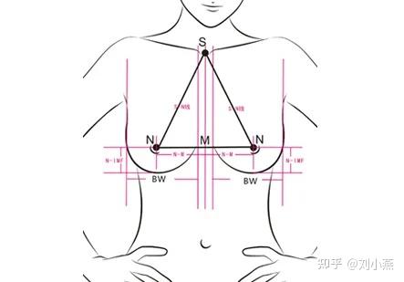 刘燕酿制:判断乳房发育好的标准你知道吗
