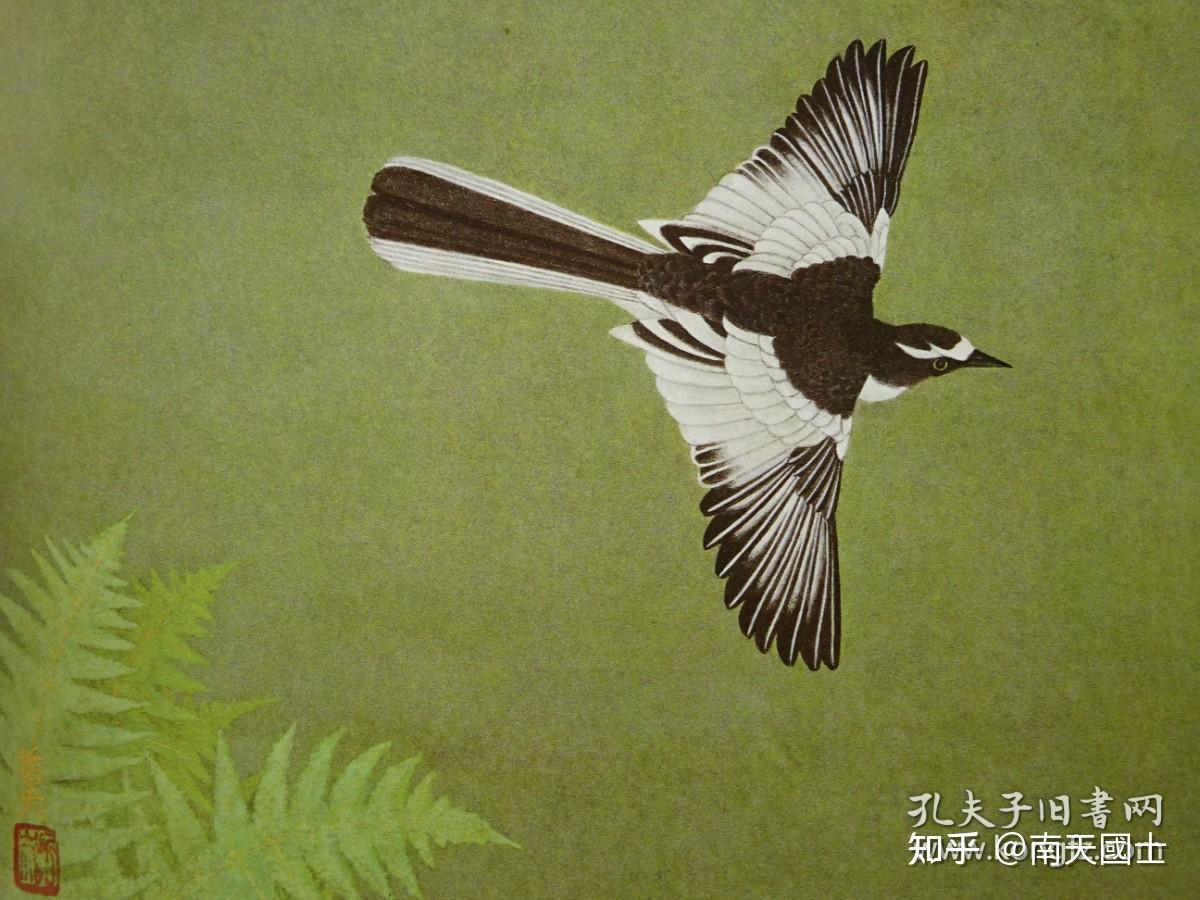 现代日本的花鸟画3