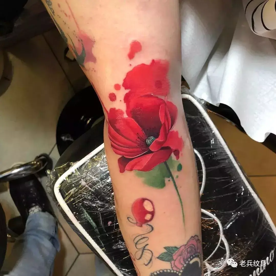罂粟花纹身图片手稿,女人纹罂粟花的含义 - 伤感说说吧