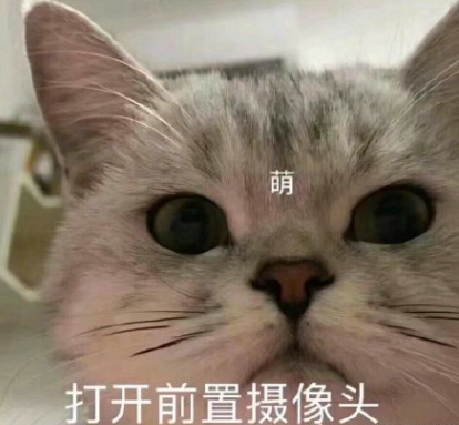 朋友圈可爱的句子的文案(温柔可爱的短句&amp;朋友圈文案句子)