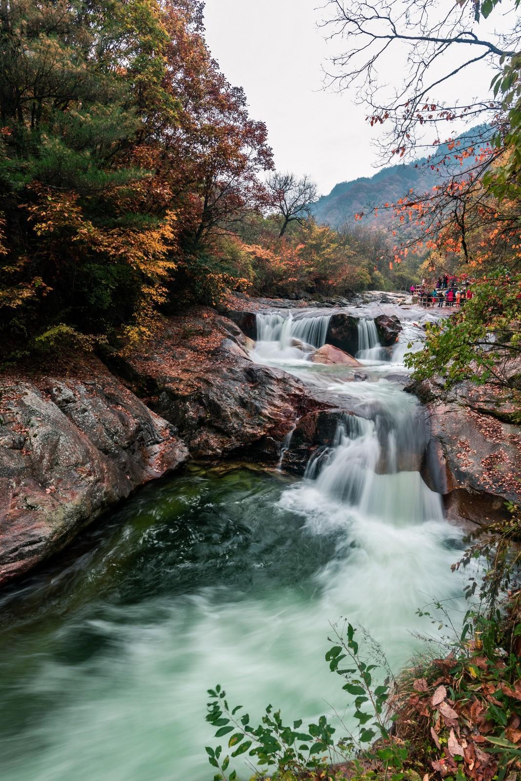 光雾山赏秋最全指南!带你领略“中国红叶第一山”的红叶盛宴