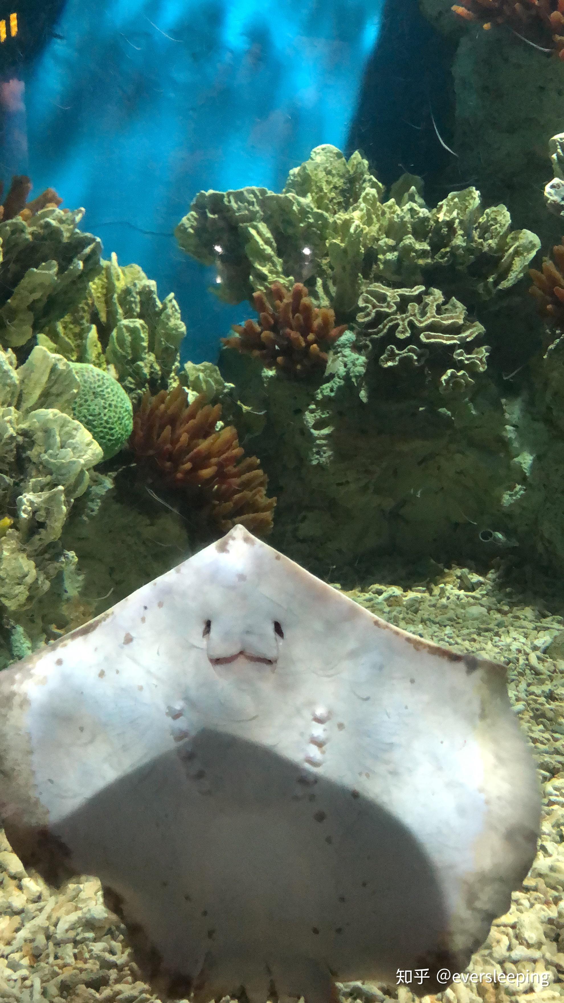 福建罗源海洋世界旅行攻略