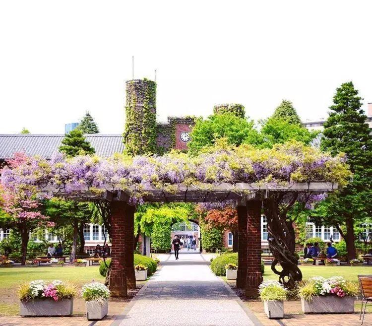 Sgu合格 占总合格者总数一半 2枚立教大学mpma项目offer 知乎