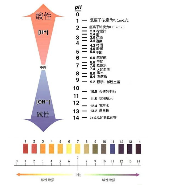 葡萄酒里的酸和你的身体有哪些关系 知乎