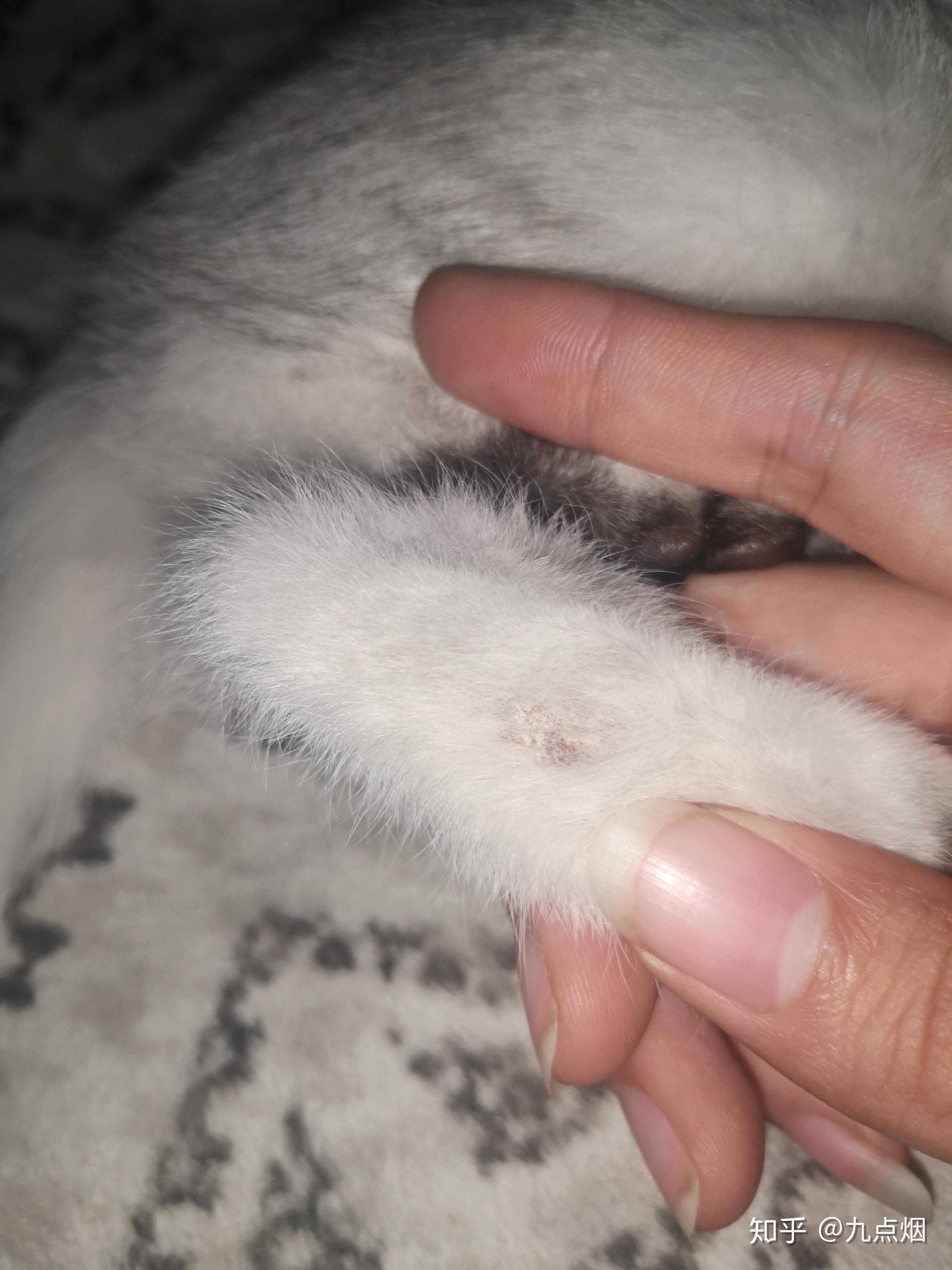 刘大壮战癣记——老父亲一把鼻涕一把泪