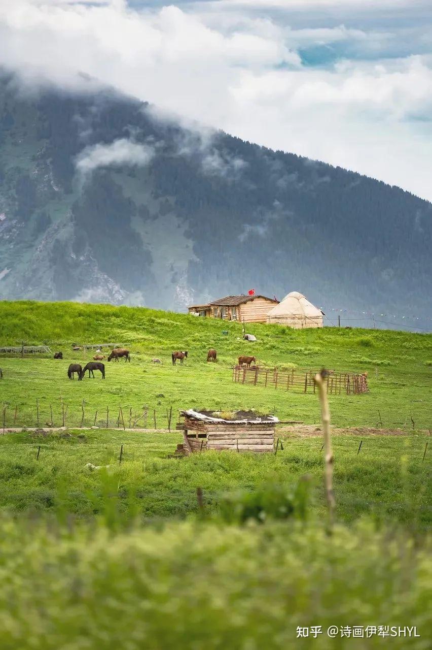 美丽新疆特克斯