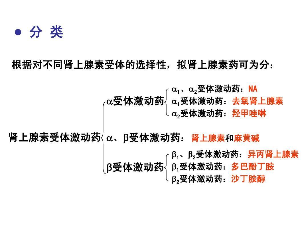 医药故事第40讲交互之感五α受体与β受体的假说