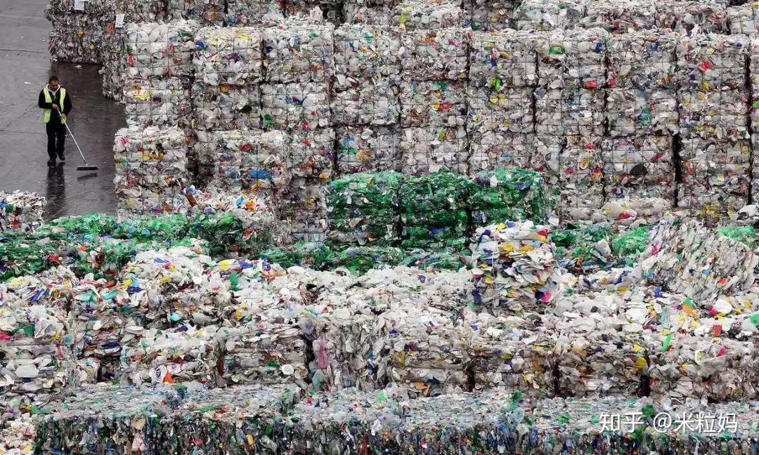全国人民都在笑看上海垃圾分类可最后竟看哭了