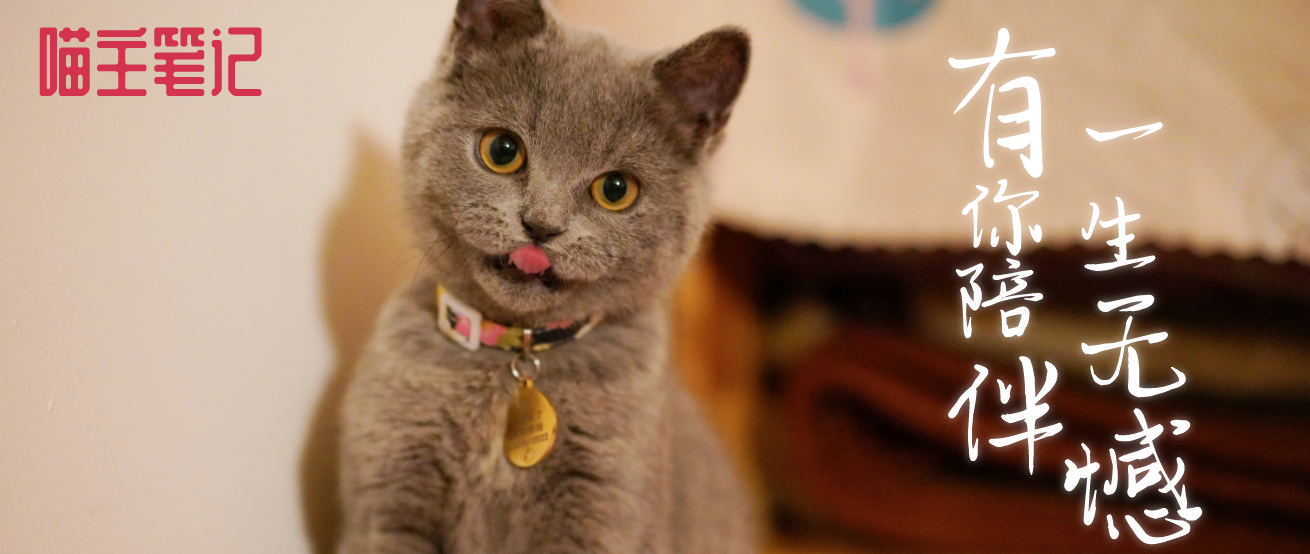 那些年你见过的奇葩宠物名 前三名打死你也想不到 知乎