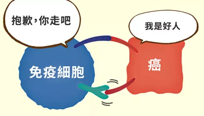 二是诱惑贿赂免疫细胞,使免疫细胞不再攻击消灭自己;肿瘤免疫治疗,就