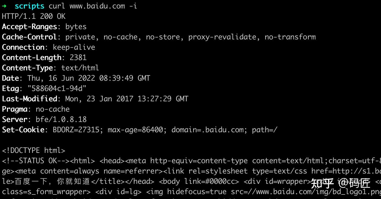 评测最火的 11 款 REST API GUI - 知乎