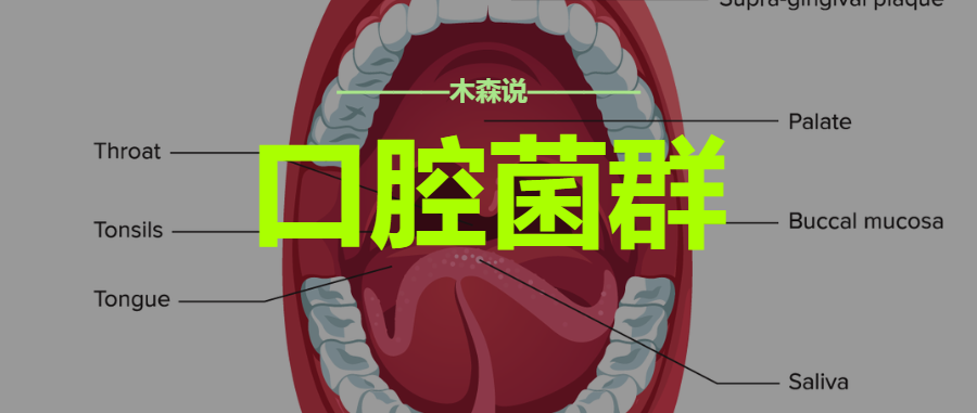 口腔菌群从口腔问题到全身问题