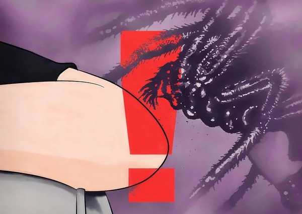 如何辨认蜘蛛 知乎