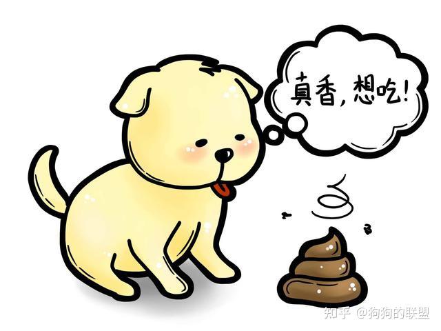 狗吃“便便”停不下来?这不是上瘾,而是因为生病了 - 知乎