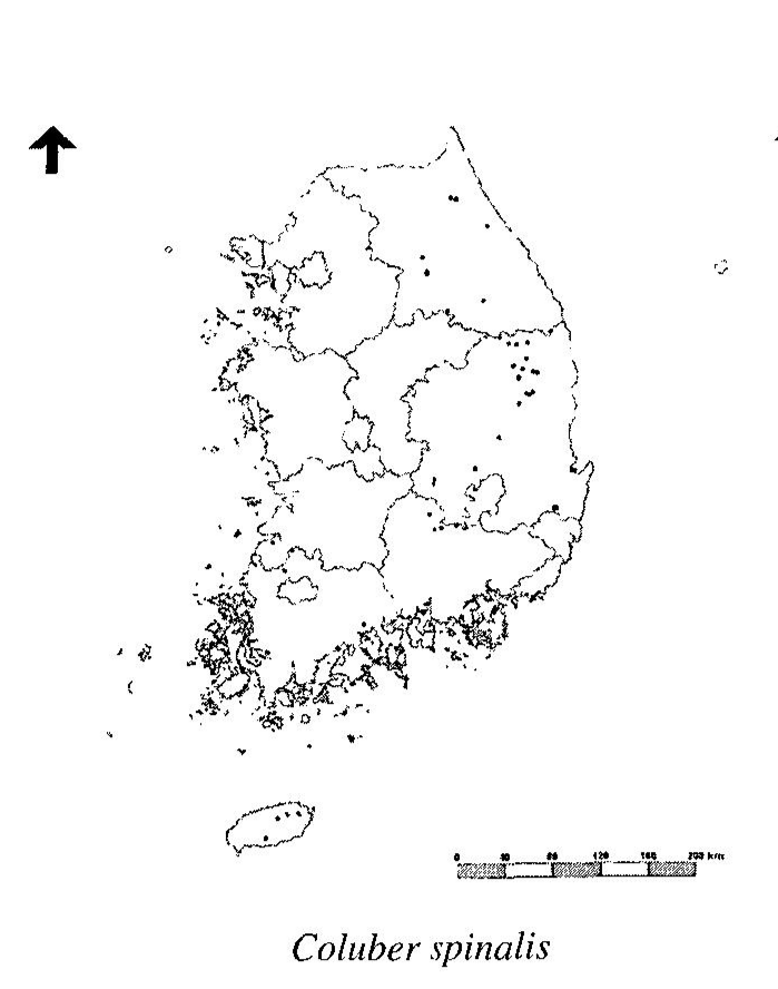 朝鲜半岛蛇类略记