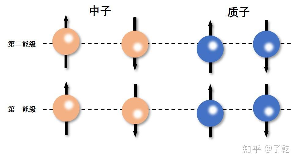 原子核内为什么基本都是一个质子一个中子的的比例？ - 知乎