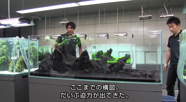 山水石单侧放射状造景缸 站在珠峰下眺会是毕生所愿 知乎