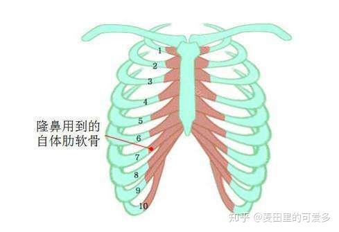 v2-3b30962f1adb72e2059c20da1bd6a9a5_r.jpg