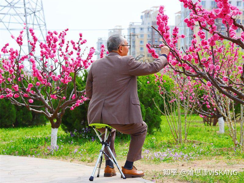 人间四月芳菲尽山寺桃花适盛开和美德折叠手杖椅